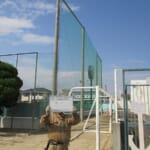 スポーツ施設　明石市立林小学校（明石市林崎町）　防球ネット改修工事