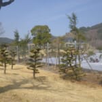 マダムＪゴルフ倶楽部　１８番ホール防球ネット工事