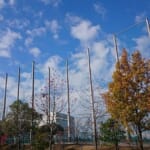 スポーツ施設　神戸市垂水区　神戸国際大学付属高等学校　防球ネット改修工事